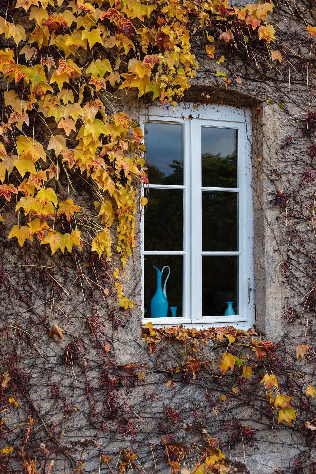 Moulin Renaudiots - Maison D'Hotes Autun Exterior photo